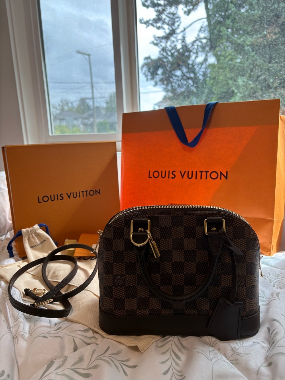 Louis Vuitton Damier Ebene Alma Handbag in Brown